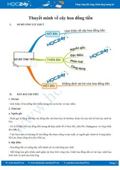 Thuyết minh về cây hoa đồng tiền