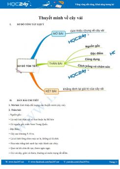 Thuyết minh về cây vải