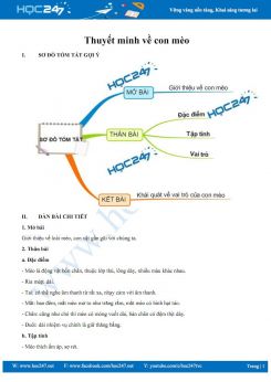 Thuyết minh về con mèo