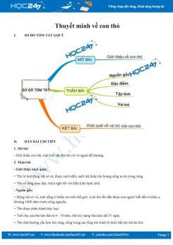 Thuyết minh về con thỏ