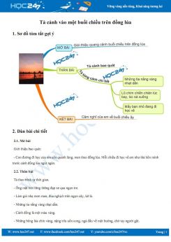 Tả cảnh vào một buổi chiều trên đồng lúa