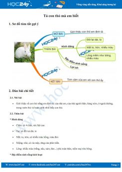 Văn mẫu tả con thỏ