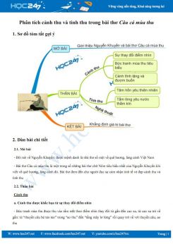 Phân tích cảnh thu và tình thu trong bài thơ Câu cá mùa thu của Nguyễn Khuyến