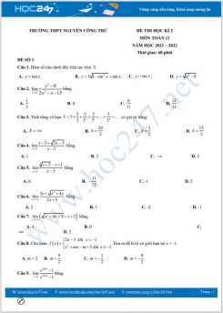 Bộ 5 đề thi HK2 môn Toán 11 năm 2021-2022 có đáp án Trường THPT Nguyễn Công Trứ