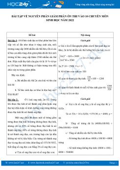 Bài tập về Nguyên Phân, Giảm Phân ôn thi vào 10 chuyên môn Sinh Học năm 2022 có đáp án