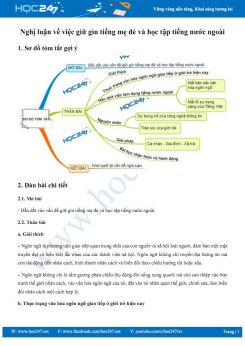 Nghị luận về việc giữ gìn tiếng mẹ đẻ và học tập tiếng nước ngoài