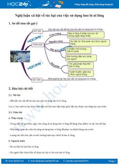 Nghị luận xã hội về tác hại của việc sử dụng bao bì ni lông