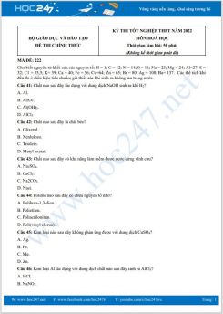 Đề và đáp án đề thi tốt nghiệp THPT môn Hoá học năm 2022- Mã đề 222