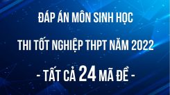 Đáp án đề thi tốt nghiệp THPT môn Sinh học năm 2022 - Tất cả 24 mã đề