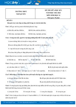 Bộ 5 Đề thi giữa HK1 môn Sinh Học 12 năm 2022-2023 Trường THPT Ngô Quyền có đáp án