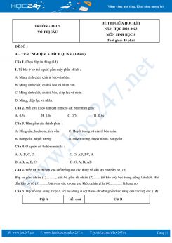 Bộ 5 Đề thi giữa HK1 môn Sinh học 8 năm 2022-2023 Trường THCS Võ Thị Sáu có đáp án