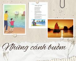 Văn mẫu về Những cánh buồm