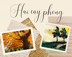 Văn mẫu về Hai cây phong