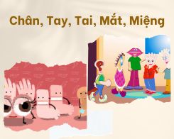 Văn mẫu về Chân, Tay, Tai, Mắt, Miệng