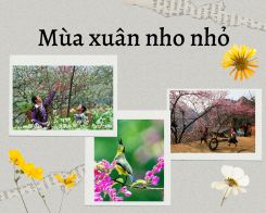 Văn mẫu về Mùa xuân nho nhỏ