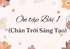 Soạn bài Ôn tập Bài 1 tóm tắt - Chân trời sáng tạo Ngữ văn 10
