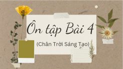 Soạn bài Ôn tập Bài 4 tóm tắt - Chân trời sáng tạo Ngữ văn 10