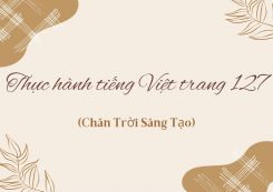 Soạn bài Thực hành tiếng Việt trang 127 tóm tắt - Chân trời sáng tạo Ngữ văn 10