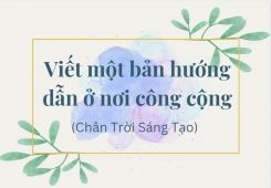 Soạn bài Viết một bản hướng dẫn ở nơi công cộng tóm tắt - Chân trời sáng tạo Ngữ văn 10