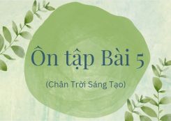 Soạn bài Ôn tập Bài 5 tóm tắt - Chân trời sáng tạo Ngữ văn 10