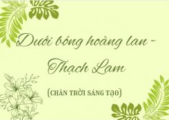 Soạn bài Dưới bóng hoàng lan - Thạch Lam tóm tắt - Chân trời sáng tạo Ngữ văn 10