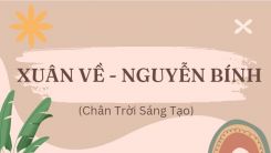 Soạn bài Xuân về - Nguyễn Bính tóm tắt - Chân trời sáng tạo Ngữ văn 10