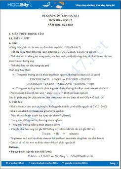 Đề cương ôn tập HK1 môn Hóa học 12 năm học 2022-2023