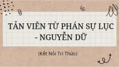Soạn bài Tản Viên từ Phán sự lục - Nguyễn Dữ tóm tắt - Kết nối tri thức Ngữ văn 10