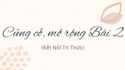 Soạn bài Củng cố, mở rộng Bài 2 tóm tắt - Kết nối tri thức Ngữ văn 10