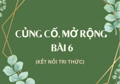 Soạn bài Củng cố, mở rộng Bài 6 tóm tắt - Kết nối tri thức Ngữ văn 10