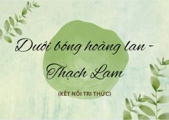 Soạn bài Dưới bóng hoàng lan - Thạch Lam tóm tắt - Kết nối tri thức Ngữ văn 10