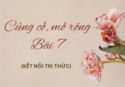 Soạn bài Củng cố, mở rộng Bài 7 tóm tắt - Kết nối tri thức Ngữ văn 10