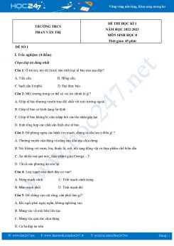 Bộ 5 Đề thi HK1 môn Sinh Học 8 năm 2022-2023 Trường THCS Phan Văn Trị có đáp án