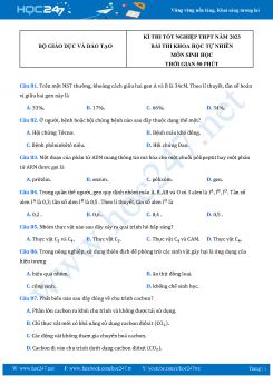 Đề thi minh họa tốt nghiệp THPT năm 2023 môn Sinh học Bộ GD&ĐT có đáp án