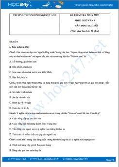 Bộ 5 đề thi giữa HK2 môn Ngữ văn 9 năm 2022-2023 có đáp án Trường THCS Sương Nguyệt Anh