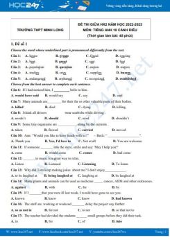 Bộ 3 đề thi giữa HK2 môn Tiếng Anh 10 Cánh diều năm 2022-2023 có đáp án Trường THPT Minh Long