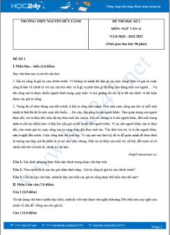 Bộ 5 đề thi HK2 môn Ngữ văn 11 năm 2022-2023 trường THPT Nguyễn Hữu Cảnh