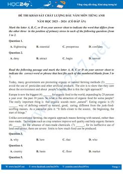 Đề thi khảo sát chất lượng đầu năm môn Tiếng Anh năm học 2023 – 2024  (Có đáp án)