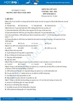 Bộ 3 đề thi giữa HK1 môn Sinh học 12 năm 2023-2024 có đáp án trường THPT Phan Ngọc Hiển