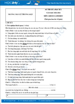 Bộ 3 đề thi giữa HK1 môn GDCD 8 Cánh Diều năm 2023-2024 có đáp án trường THCS Lý Thường Kiệt