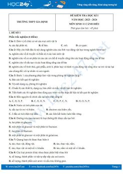 Bộ 3 đề thi HK1 môn Sinh học 11 Cánh diều năm 2023-2024 có đáp án trường THPT Gia Định