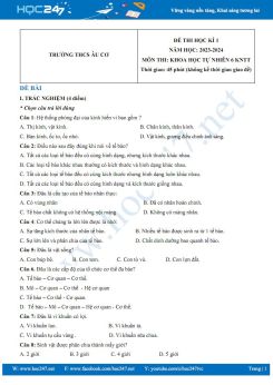 Đề thi HK1 môn Khoa học tự nhiên 6 KNTT năm 2023-2024 trường THCS Âu Cơ