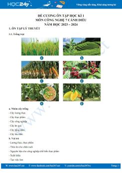 Đề cương ôn tập HK1 môn Công nghệ 7 Cánh Diều năm 2023-2024