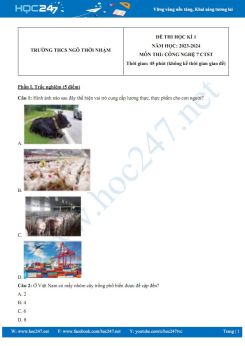 Đề thi HK1 môn Công nghệ 7 CTST năm 2023-2024 có đáp án trường THCS Ngô Thời Nhậm