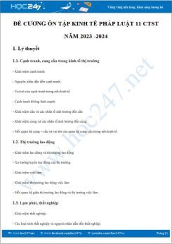 Đề cương ôn tập HK1 môn Kinh tế pháp luật 11 CTST năm 2023-2024