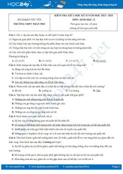 Đề thi giữa HK2 môn Sinh học 12 năm 2023-2024 có đáp án Trường THPT Trần Phú