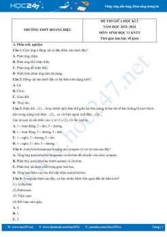 Đề thi giữa HK2 môn Sinh học 11 KNTT năm 2023-2024 có đáp án Trường THPT Hoàng Diệu
