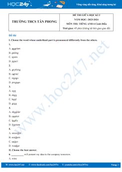 Đề thi giữa HK2 môn Tiếng Anh 6 Cánh Diều năm 2023-2024 có đáp án Trường THCS Tân Phong