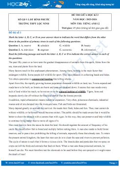 Bộ 3 đề thi giữa HK2 môn Tiếng Anh 12 năm 2023-2024 có đáp án Trường THPT Lộc Ninh