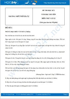 Bộ 3 đề thi HK2 môn Ngữ văn 12 năm 2023-2024 có đáp án trường THPT Ngô Gia Tự